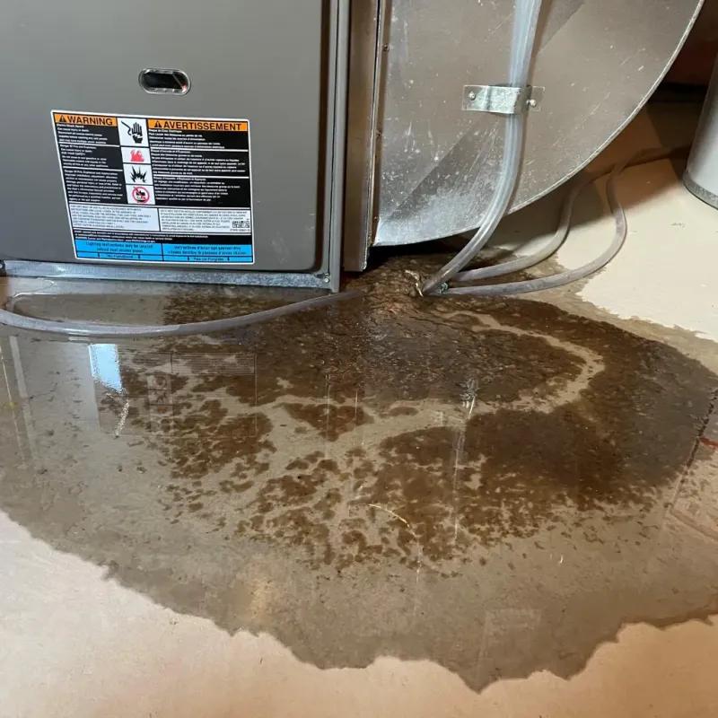 Appliance Leak Cleanup in Big Horn County, WY